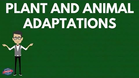 Plant & Animal Adaptations - Educational Ecosystems & Life Science Video for Elementary Kids