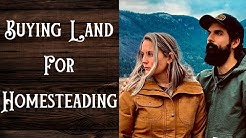 Buying Land For Homesteading - Important Tips YOU SHOULD KNOW!!