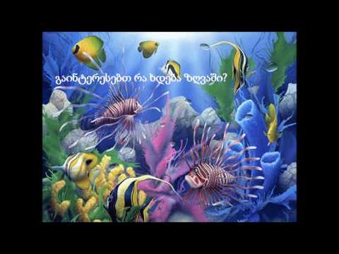 ჩემ თვალხატულა მოსწავლეებს