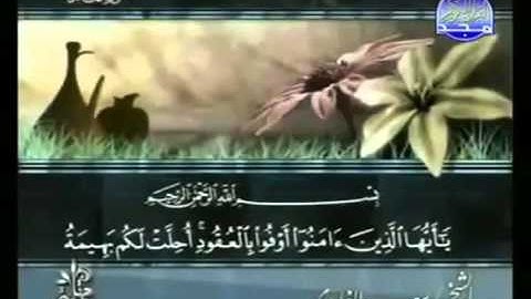 القرآن الكريم   الجزء السادس   تلاوة سعد الغامدي   6