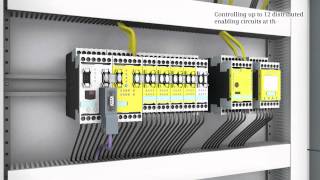 Celebrity SIRIUS MSS Safety distributed switching with AS-Interface Net Worth