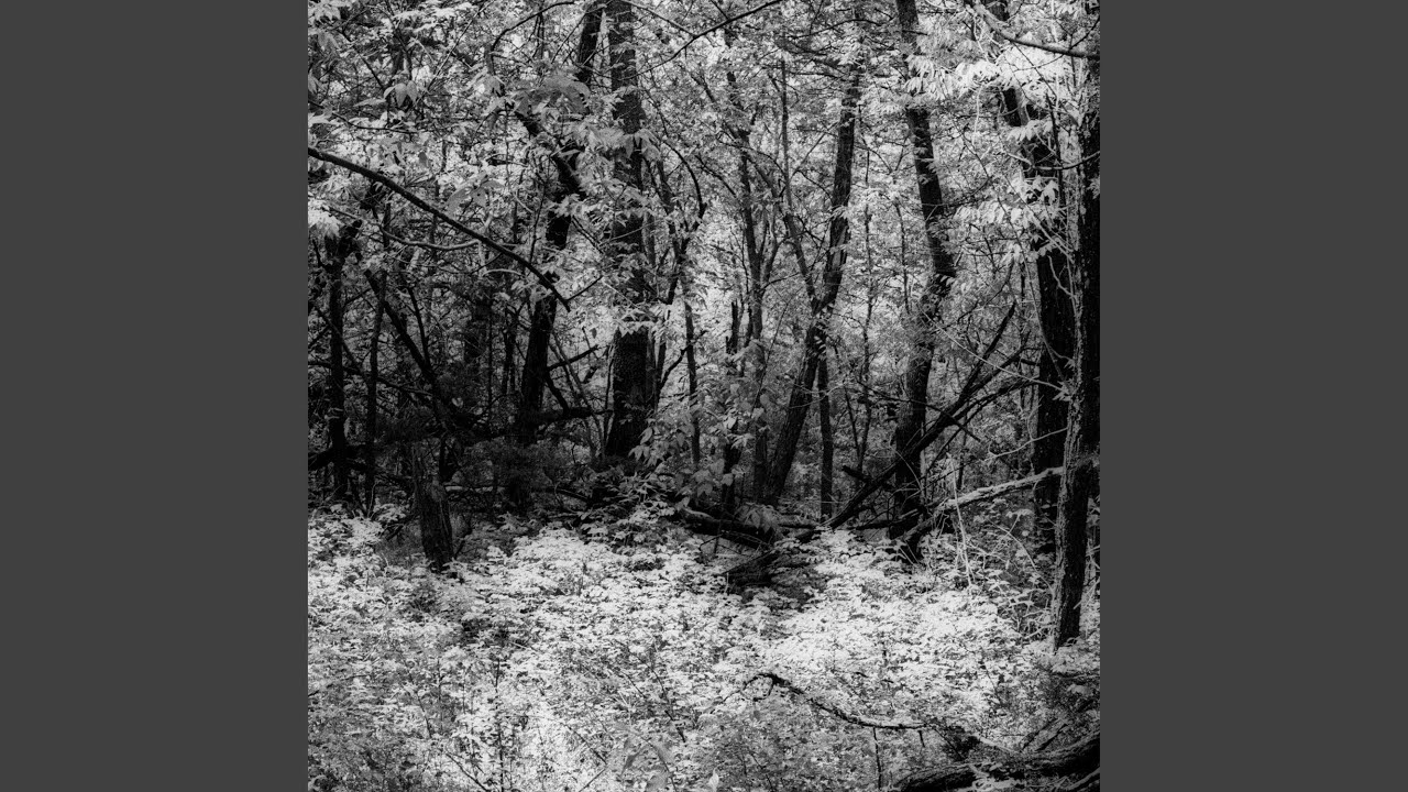 Guarda Winter Light su YouTube Guarda Winter Light su YouTube