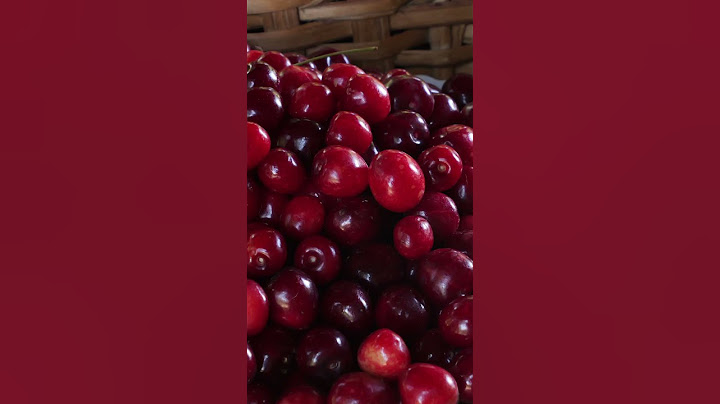 Traži berače trešanja, dnevnica 50 eura