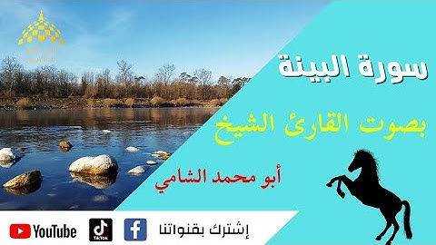 سورة البينة مكتوبة بصوت القارئ الشيخ (أبو محمد الشامي) للحفظ