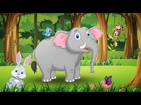 Video: Koji je slon veći?