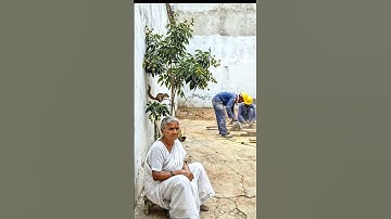 A Squirrel rescued a Lychee plant from drying out by watering it 😭 #ai #tree #save #water