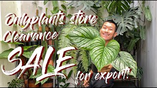 Onlyplants Store Closing Down Clearance Sale for Exports!