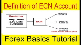 ecn forex prekyba populiariausios greito praturtėjimo schemos