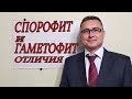 БИОЛОГИЯ ЕГЭ ОГЭ СПОРОФИТ ГАМЕТОФИТ