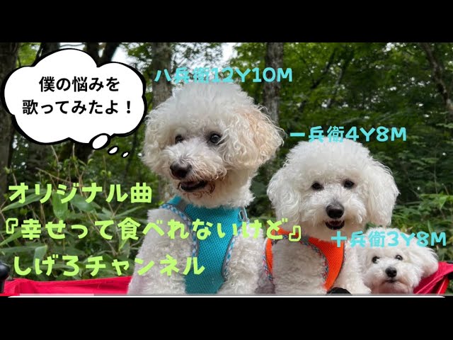 赤い犬　love happiness royalty I can't eat happiness