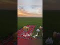 أنشودة يمة يمة يا حبيبة يا عزيزة يا كريمة يا مهمة 
