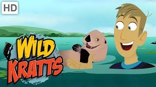 Wild Kratts  Swim with Creature Powers! | Kids Videos