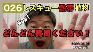 ゲリラレスキュー熱帯植物　1時間