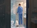 Why Does Your Cat Follow You to the Bathroom Every Morning? #cat #kitten #cute #cutecat #pets #funny