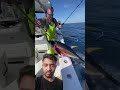 Virall short video #fishing #fish #birdfish #viral #shorts