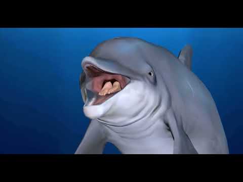 Dolphin Snack [VORE]