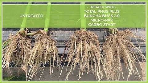 In-Furrow Biological Program