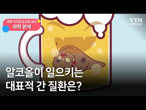 [과학본색] ② 알코올이 일으키는 대표적 간 질환은? / YTN 사이언스