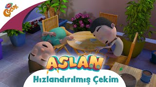 ASLAN | HIZLANDIRILMIŞ ÇEKİM | TRT ÇOCUK