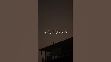 تلاوة خاشعة ومؤثرة الشيخ هزاع البلوشي ارح سمعك ♡ #قرآن