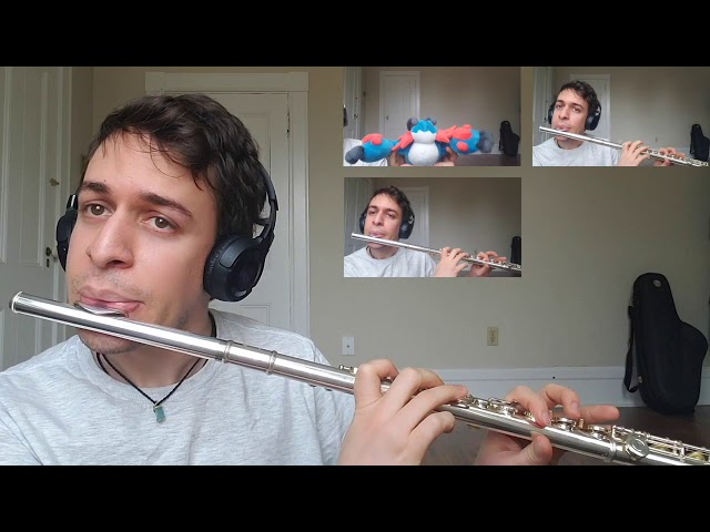 Littleroot Town - Pokemon RSE & ORAS (Flute cover) class=