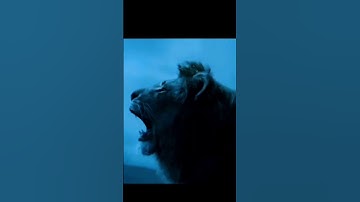 LION SIGMA RULE 😎 T-rex vs Lion Attitude status
