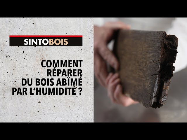 Mastic Et Préparation Support Durcisseur SintoBois Bois Abîmés