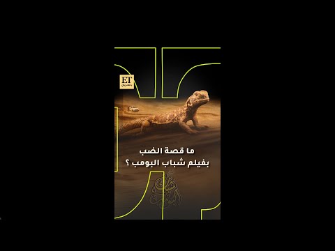 ما قصة الضب ب فيلم شباب البومب