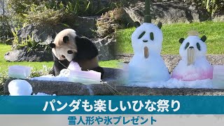 パンダも楽しいひな祭り 雪人形や氷プレゼント