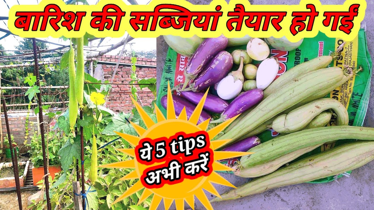 5 Must Grow These 5 High Profit 5-must-grow-these-5-high-profit