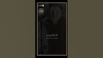 القارئ ماهر المعيقلي #القرآن_الكريم #المصحف #اكسبلور
