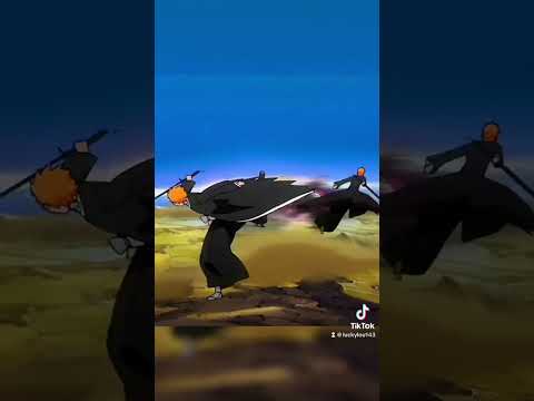 Ichigo Bankai vs