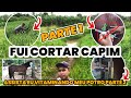 FUI CORTAR CAPIM PRA MEU CAVALO,  OLHA NO QUE DEU 😱😱 PARTE 1