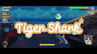 Hungry Shark Evolution - Beach Ball Juggling Challenge! #games#shark#hungryshark#challenge  screenshot 4