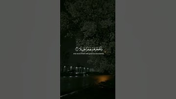 اجر لي ولكم #القارئ_عبدالرحمن_مسعد #قران