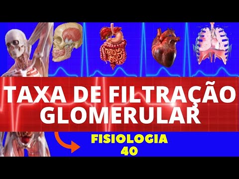 Vídeo: Por que a taxa de filtração glomerular diminui?