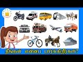 New vehicles name and sounds kids song what do you see song in tamil tamilarasi