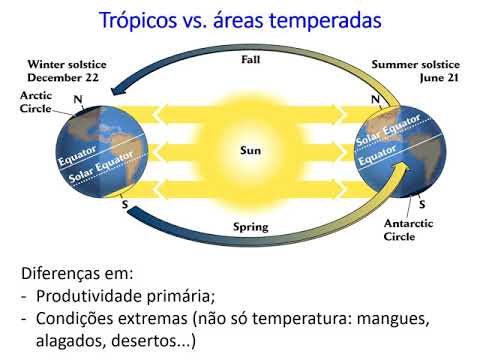 Vídeo: Especiação Mais Alta E Menores Taxas De Extinção Influenciam Os Gradientes De Diversidade De Mamíferos Na Ásia