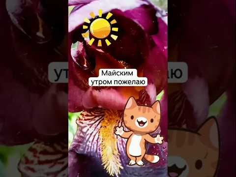 С добрым майским утром! ☀️