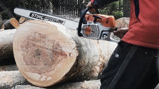 Awesome 72Cc Chainsaw From Stihl - Ms462 C-M With 32 Bar