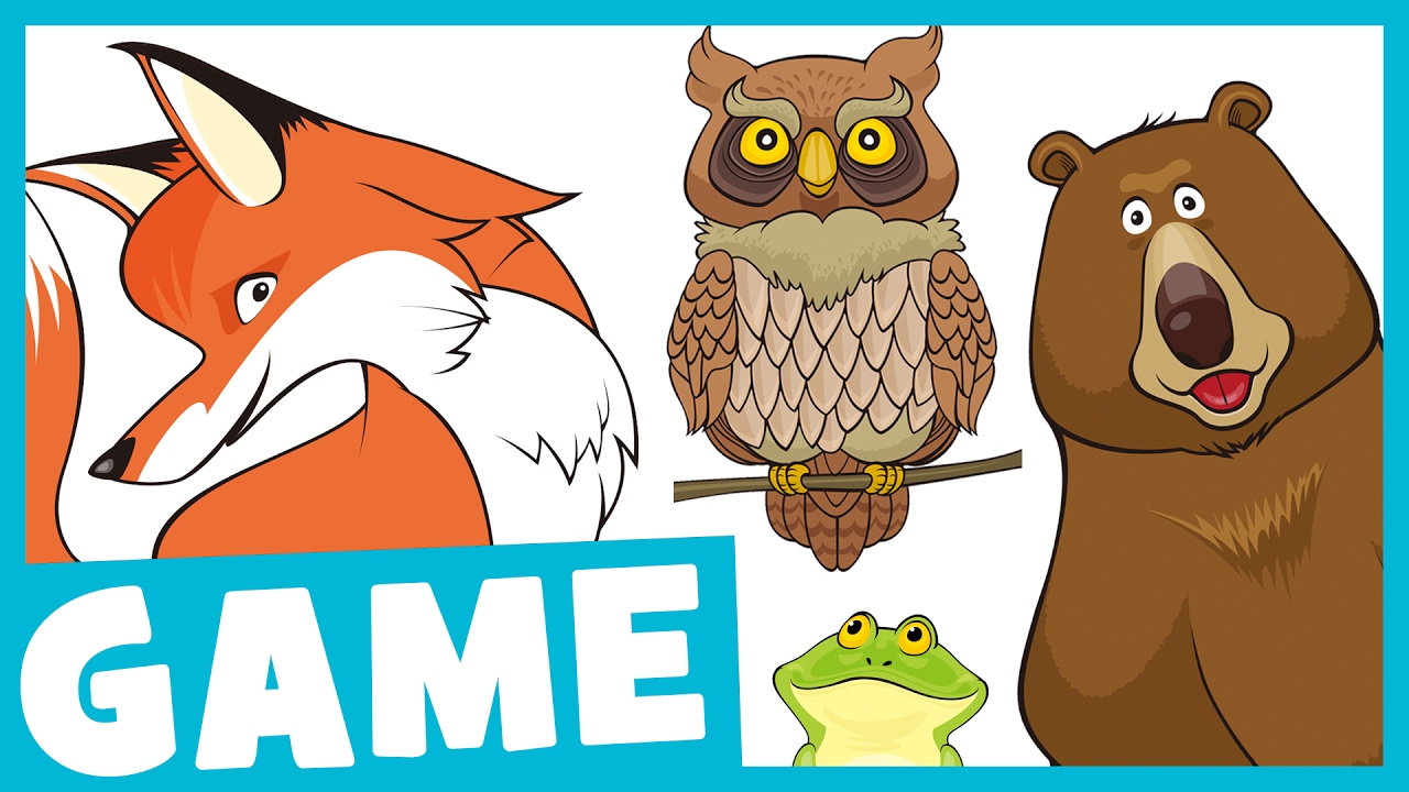 Learn Forest Animals for Kids | What Is It? Game for Kids | Maple Leaf  Learning - YouTube