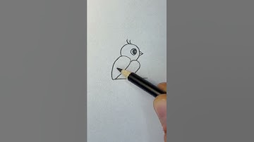 How to draw bird with Numbers