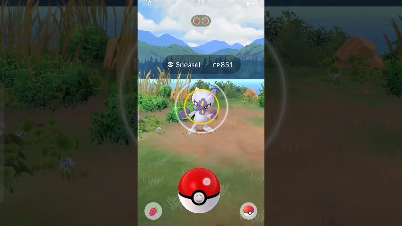 Field research breakthrough box!!!! 