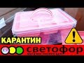 СВЕТОФОР НОВИНКИ | покупка продуктов | ЧЕСТНЫЙ ОТЗЫВ СОТРУДНИКОВ - ЧТО НЕЛЬЗЯ ПОКУПАТЬ В СВЕТОФОРЕ