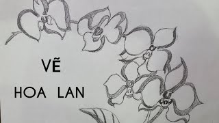 Cách Vẽ Hoa Lan Đơn Giản Bằng Bút Chì #8 - How To Draw An Orchid With  Pencil Ll Kim Chi Art & Draw - Youtube