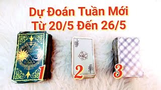 🍀 Dự Đoán Tuần Mới Từ 20\/5\/2024 Đến 26\/5\/202 #tarotvietnam #mstarot #week #weekly #thôngđiệp