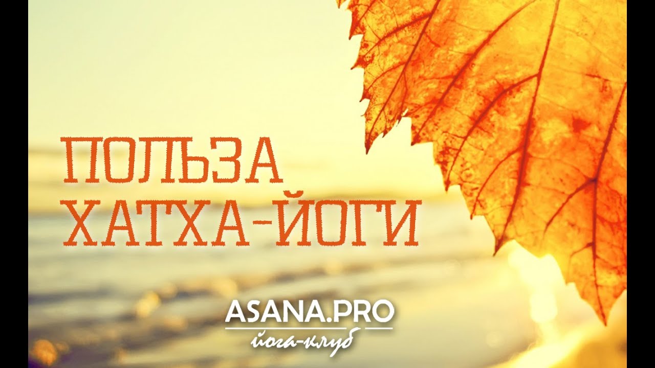 Польза хатха йоги