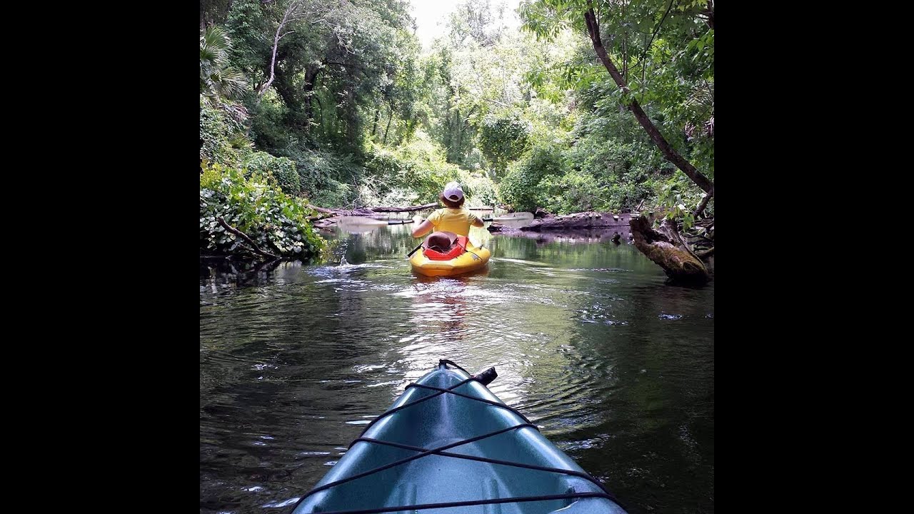 Kayaking King S Landing Rock Springs Run Florida Youtube