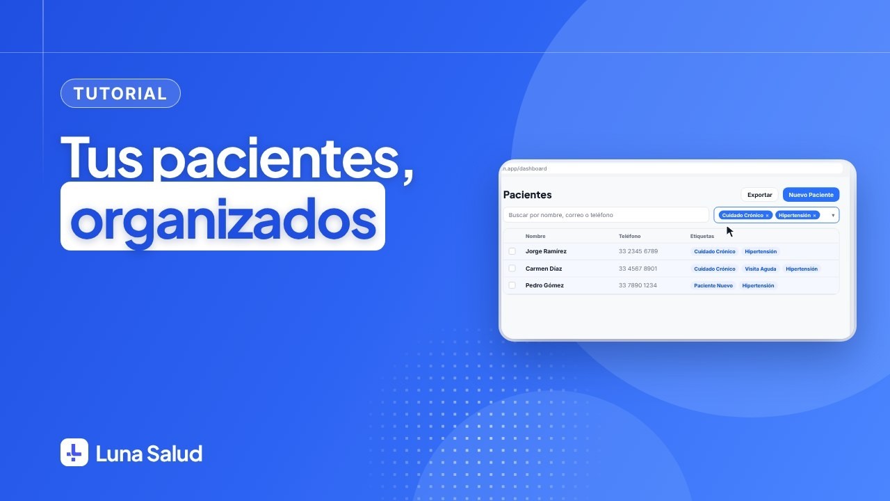 Etiquetas para organizar a tus pacientes en Luna Salud