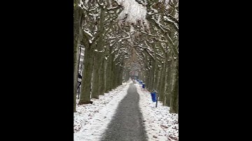 Amazing view on the street of Frankfurt #snowfall #youtubeshorts #youtube #ytshorts